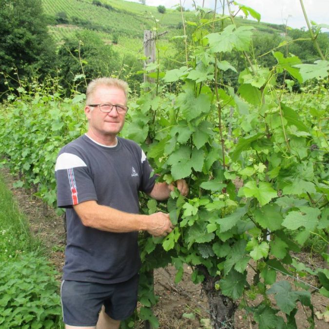 Que fait un viticulteur ? Erstein