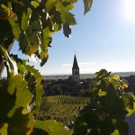 Le vignoble Guebwiller 22