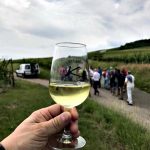 pique nique chez le vigneron Colmar 3