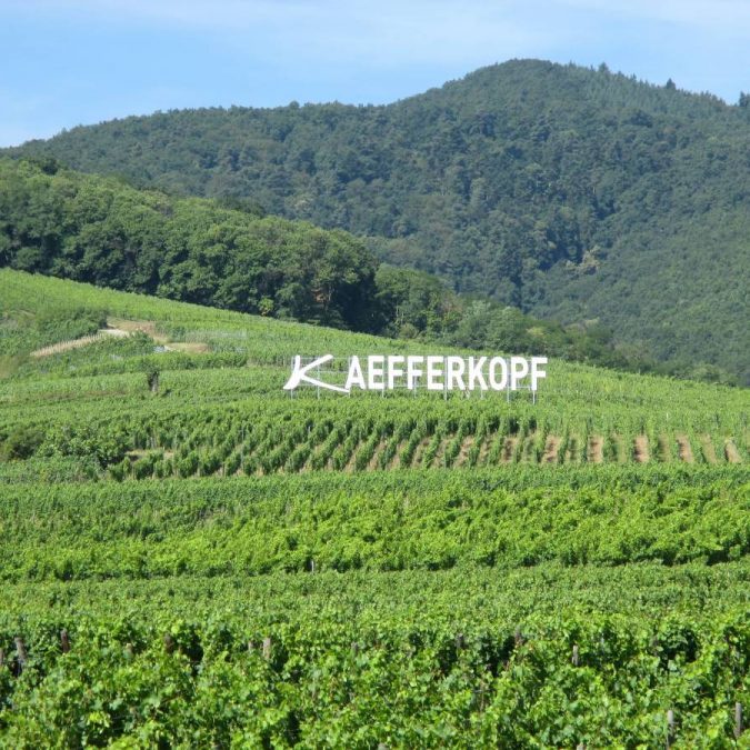 BACKGROUNDTEXT 675X675 | Domaine Jean-Marc Simonis Un terroir d’exception : le Kaefferkopf Colmar