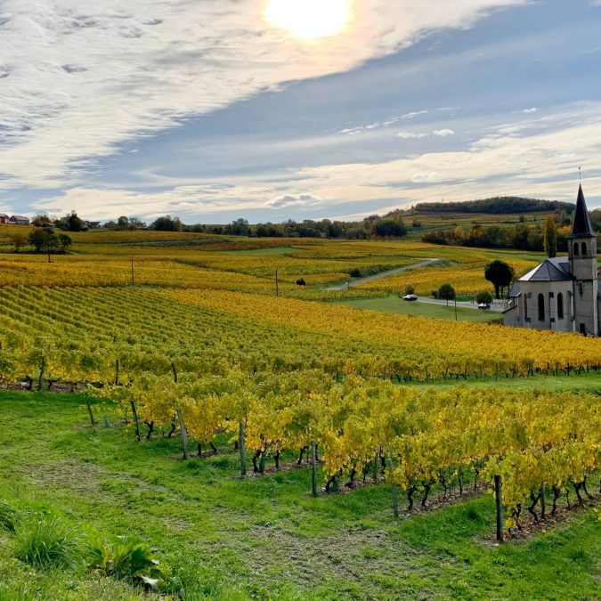Pourquoi acheter son vin directement au producteur ? Erstein
