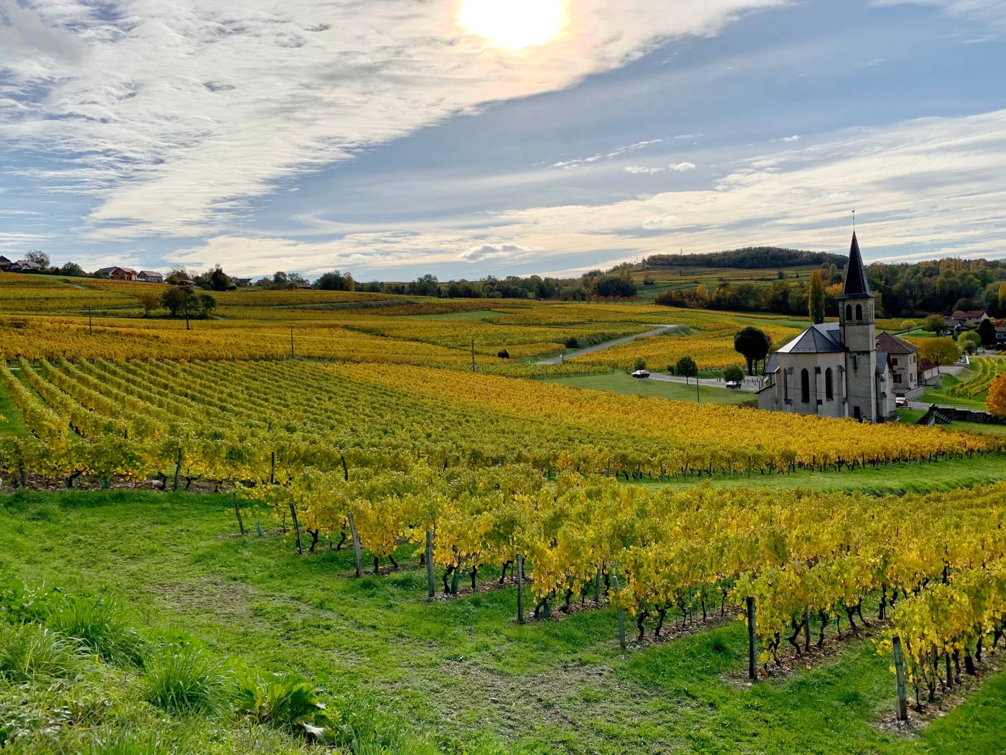 Pourquoi acheter son vin directement au producteur ? Erstein