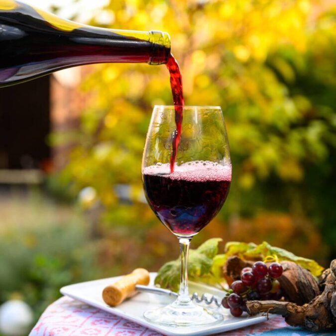 Quelles sont les &eacute;tapes de d&eacute;gustation dans une cave &agrave; vin ? S&eacute;lestat