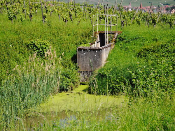 &Agrave; propos du Domaine Jean-Marc Simonis Wittenheim 0