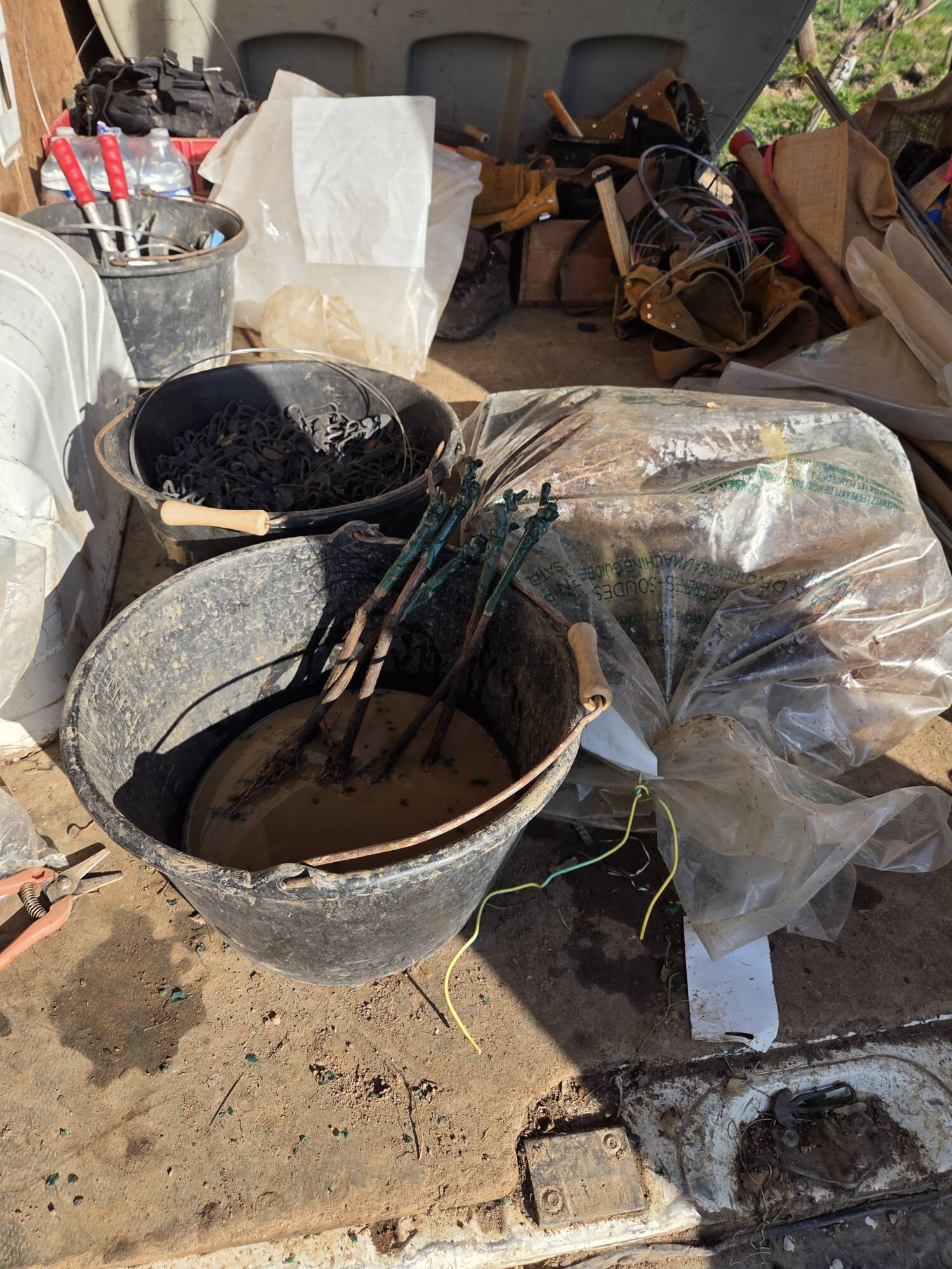 Travaux de la vigne Guebwiller 1