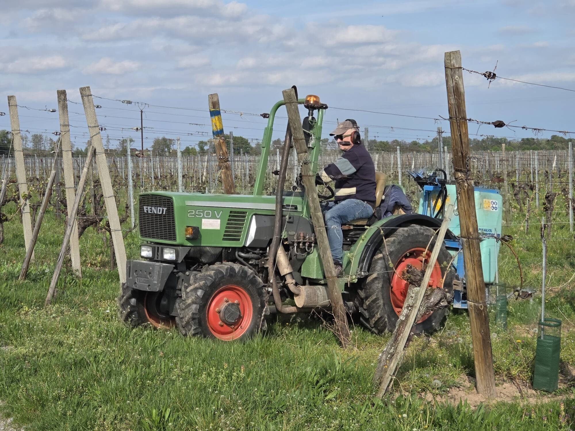 Travaux de la vigne Cernay