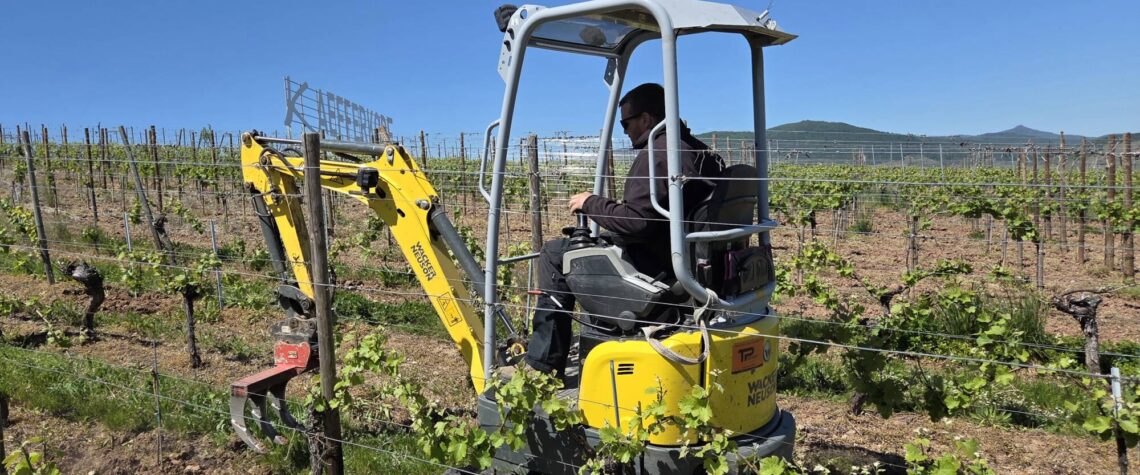 Travaux de la vigne Cernay 0